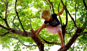 Experiential learning. Little girl climbing big tree